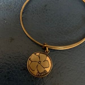 Alex and Ani + Energy Friend bracelet